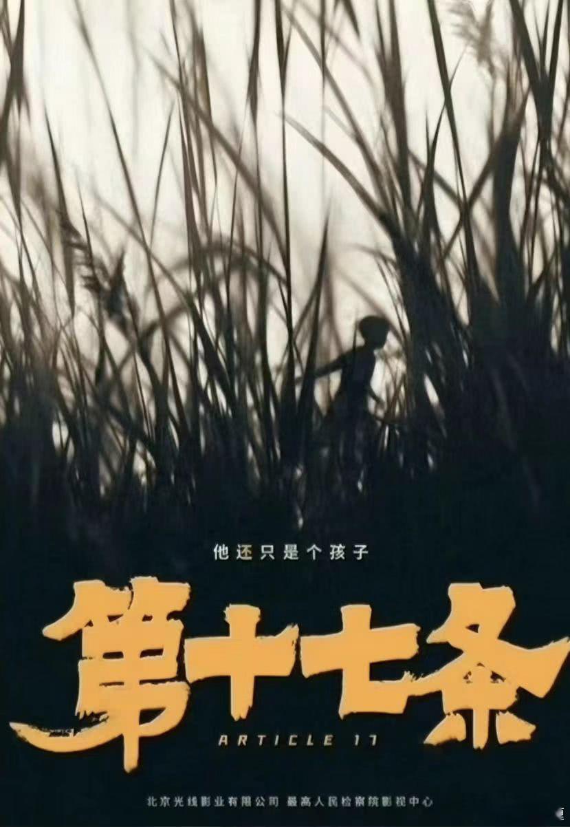 光线的《第十七条》暑假档应该没希望了，本来还期待魏书钧拍商业片怎么样的，前面的作