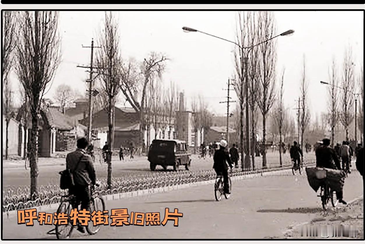 呼和浩特八十年代街景旧照片：在我一个相册里存放了好久的一张旧照片（了解更多旧照片