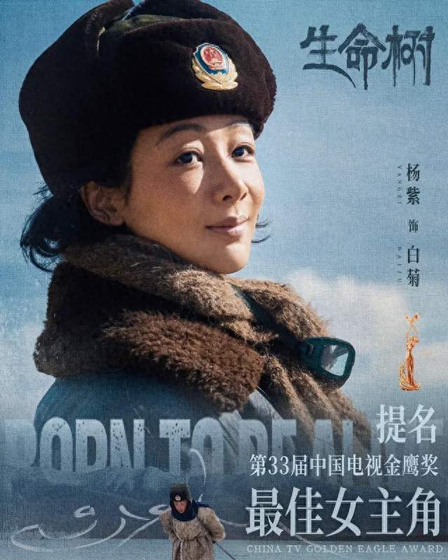 都在抢“一夜爆红”的剧本，只有杨紫敢赌“慢慢熬”的命