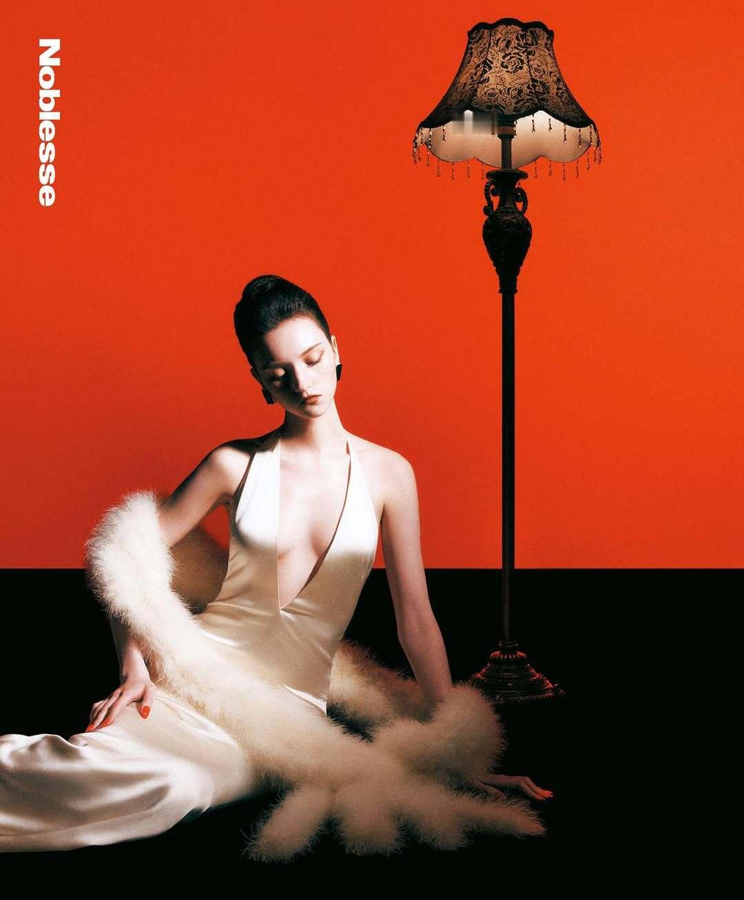 美人如画 ​​​