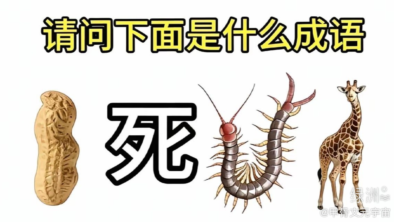 猜成语 绿洲