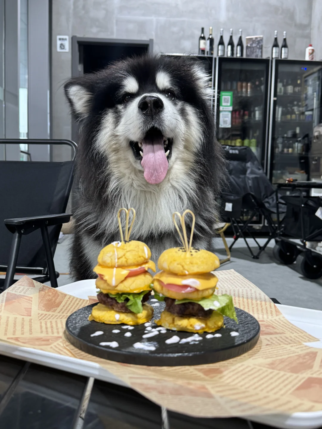 漂亮小斗，吃漂亮饭饭～