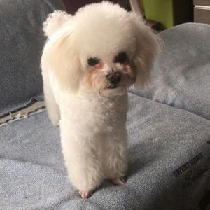 要好好吃饭哦