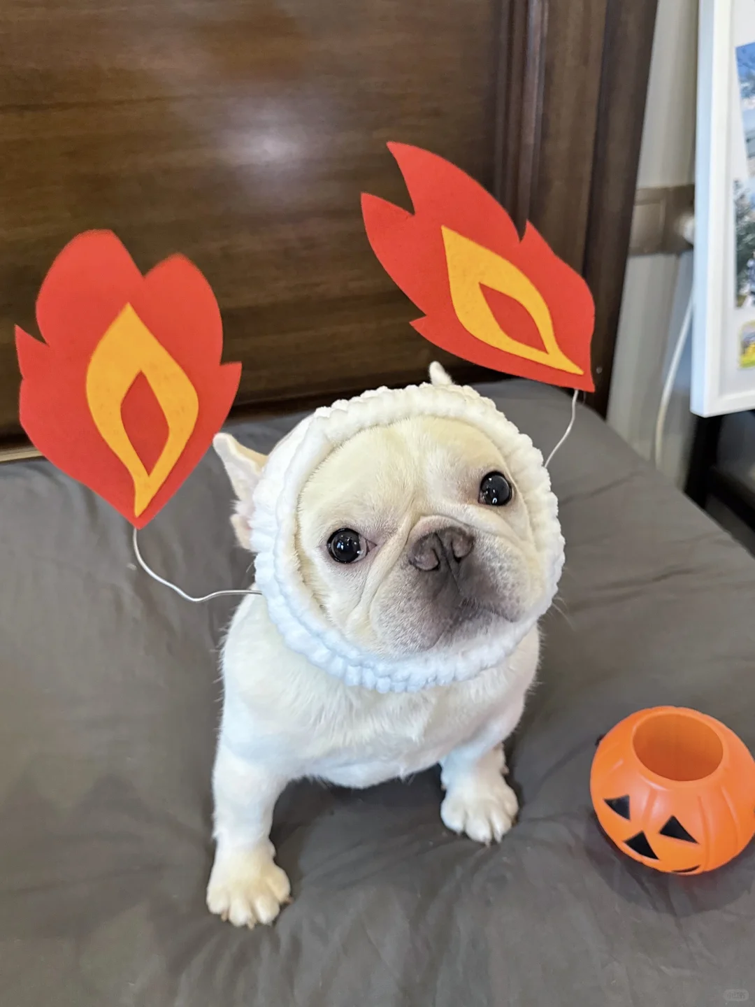 我今天要点燃你们心里的火苗咯～