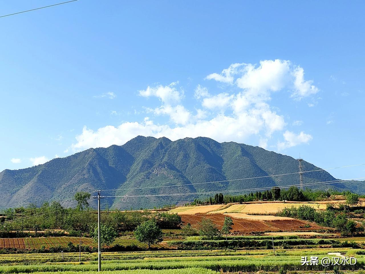 【诗画田园】近日去乡下，漫步在田野，呈现在眼前的是一幅无可比喻的绝美景象。
  