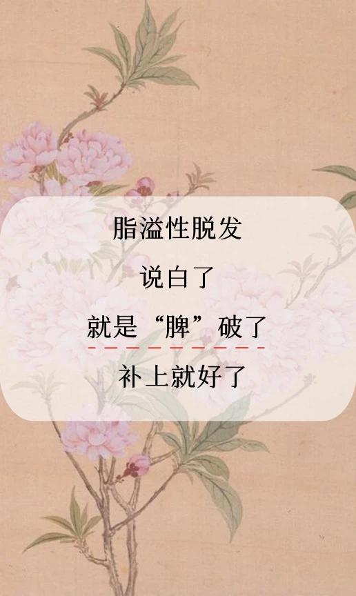 脂溢性脱发
说白了
就是“脾”破了
补上就好了

中医认为“湿”本是六气之一，但