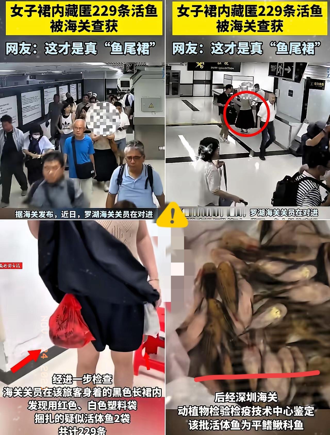 这下出名了，
不仅深圳，全国人民都知道了！
女子仅靠两个塑料袋，竟然携带229条