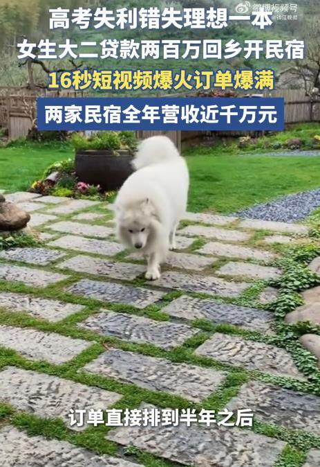 大二女生贷款200万开民宿年入千万？别做梦了，这碗“鸡汤”有毒！
最近有个新闻挺