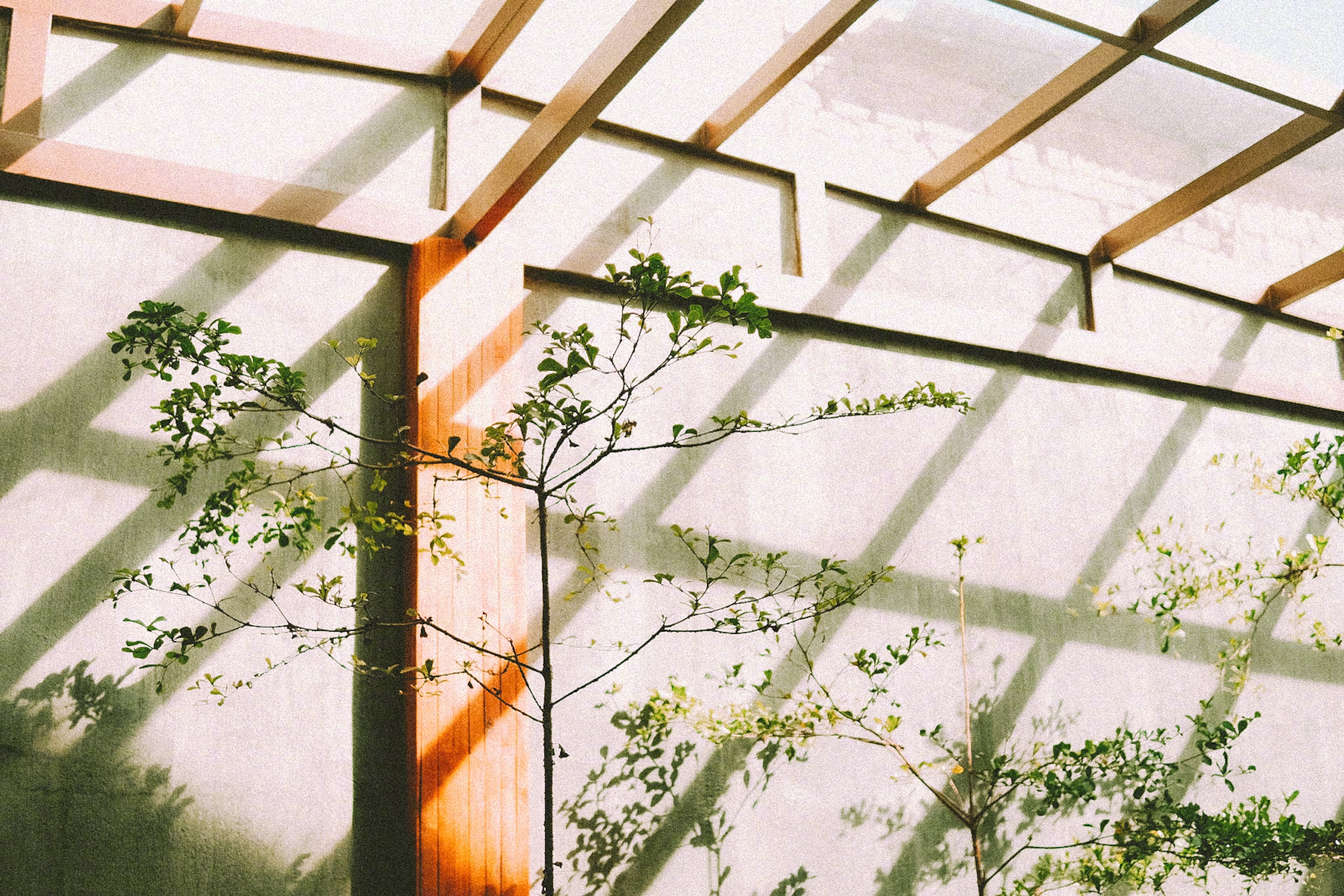 不管幸与不幸，都不要为自己的人生设限，以免阻挡了生命的阳光。——摩西奶奶《人生随