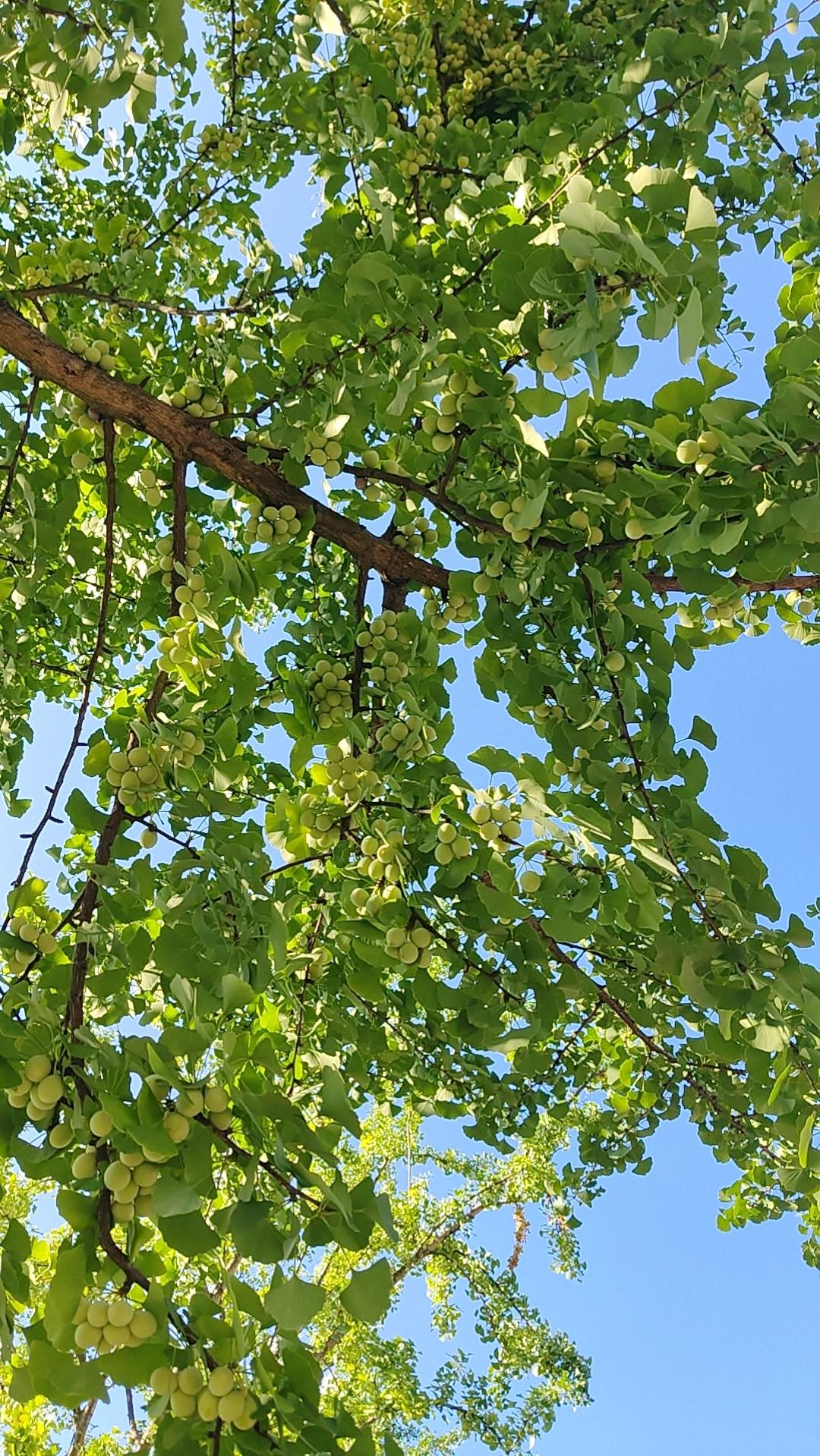 散户还有一个亏钱的原因是，把已经盈利寄托在别人身上，而从不自己反思，去实战，去试