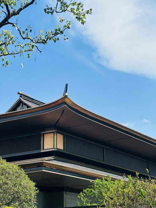 硬通货资产！价值天花板再加推！