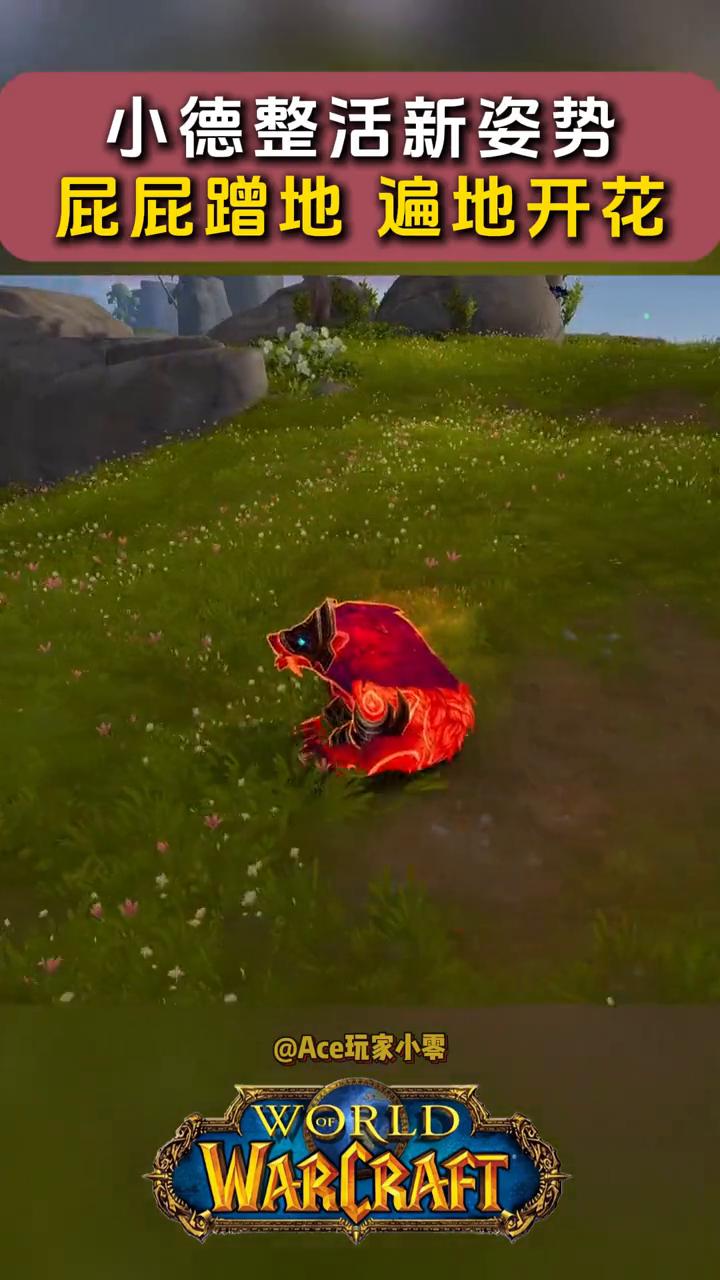 小德整活新姿势，屁屁蹭地遍地开花。
Ace玩家小零。
这可不是bug，怎么办到的