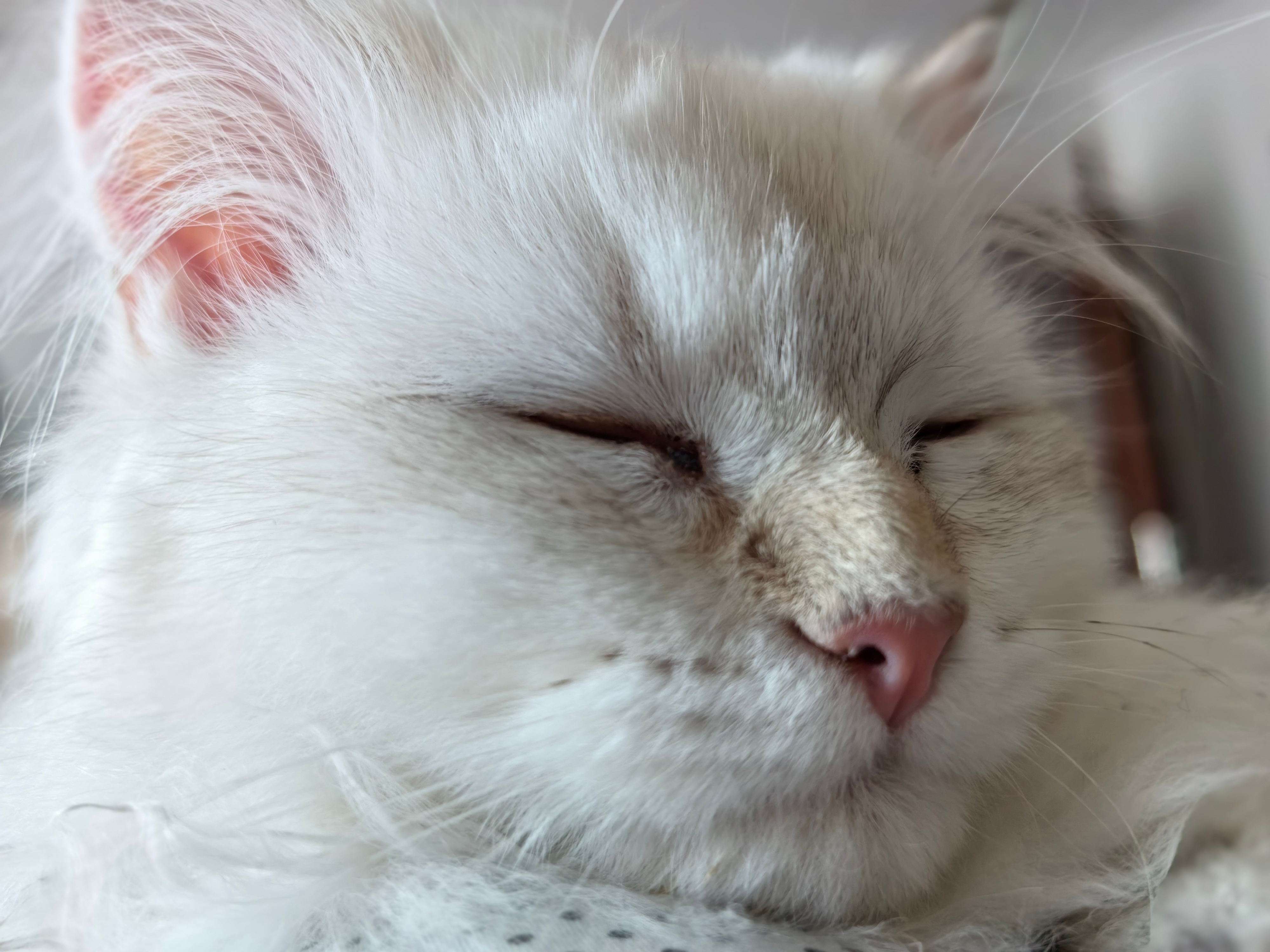 #做早饭时想# 【创新成、抄袭亡】web3，颠覆了时代；houseclub，颠覆