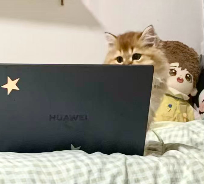 网瘾小猫🐱电脑里放的是莫青成[拜托] ​​​