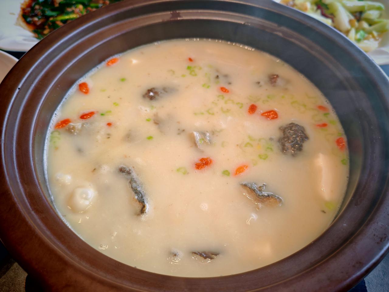 春日生活打卡季