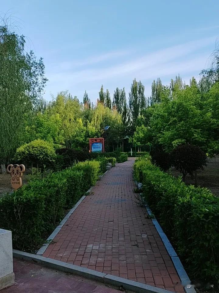 老头！
要是遇到一个这样的老婆和你搭伙，
该怎么选择？
正常付出一定数额的生活费