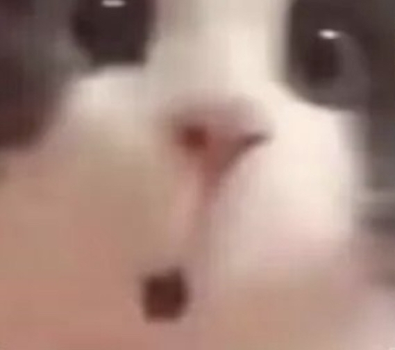 傻福妞。。。。。。。。。。。。。。。。。。。。粑粑打死。。。。。。。。。。。。。
