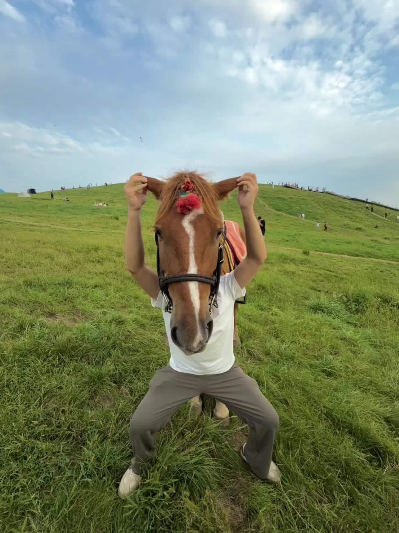 放假去伏羲山继续当牛马