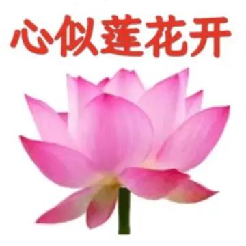 “春暖花开雨月过，夏炎叶茂荷莲开”，这诗句简直把春夏之景描绘得活灵活现。
春天的