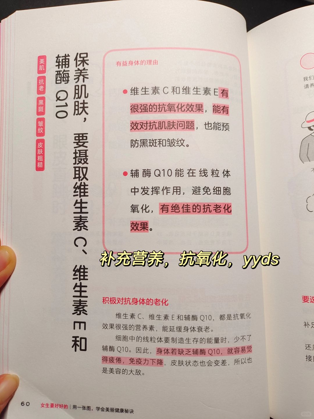 不显老的智慧——抗氧化就对了🔥