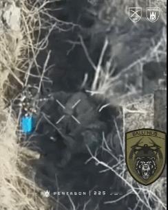 1名俄军士兵平时训练肯定开了小差，扔手雷软绵无力，结果又滚回到了他的臀部下面，同