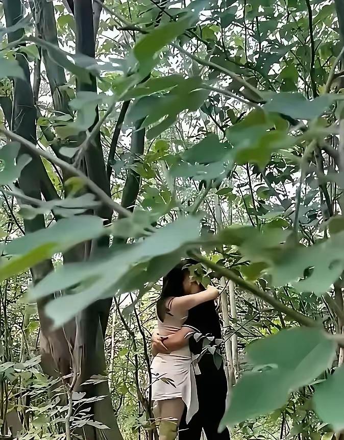 在深山老林里，一对情侣拥抱在一起，这画面想想就浪漫。山林里有苔藓、岩石，大自然的