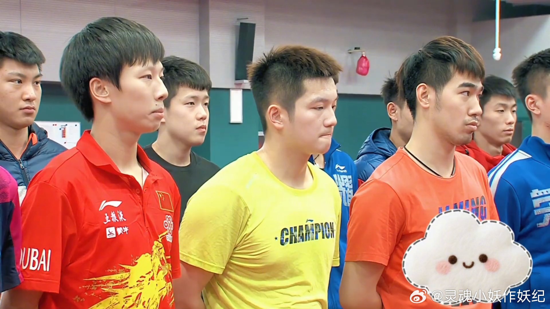 球迷们神预测，眼光太好！樊振东胖小子现在不得了，将来必定了不得！必将是庄则栋邓亚