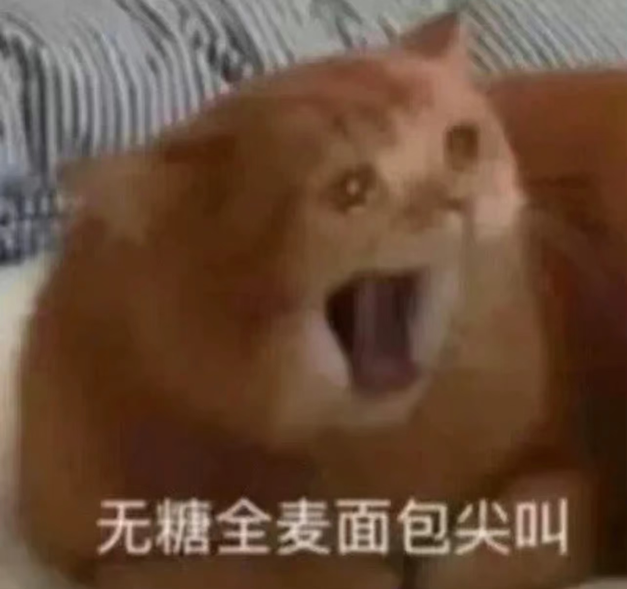 之前是不是有一个什么空瓶图投票，我找不到我喜欢的那张图了 