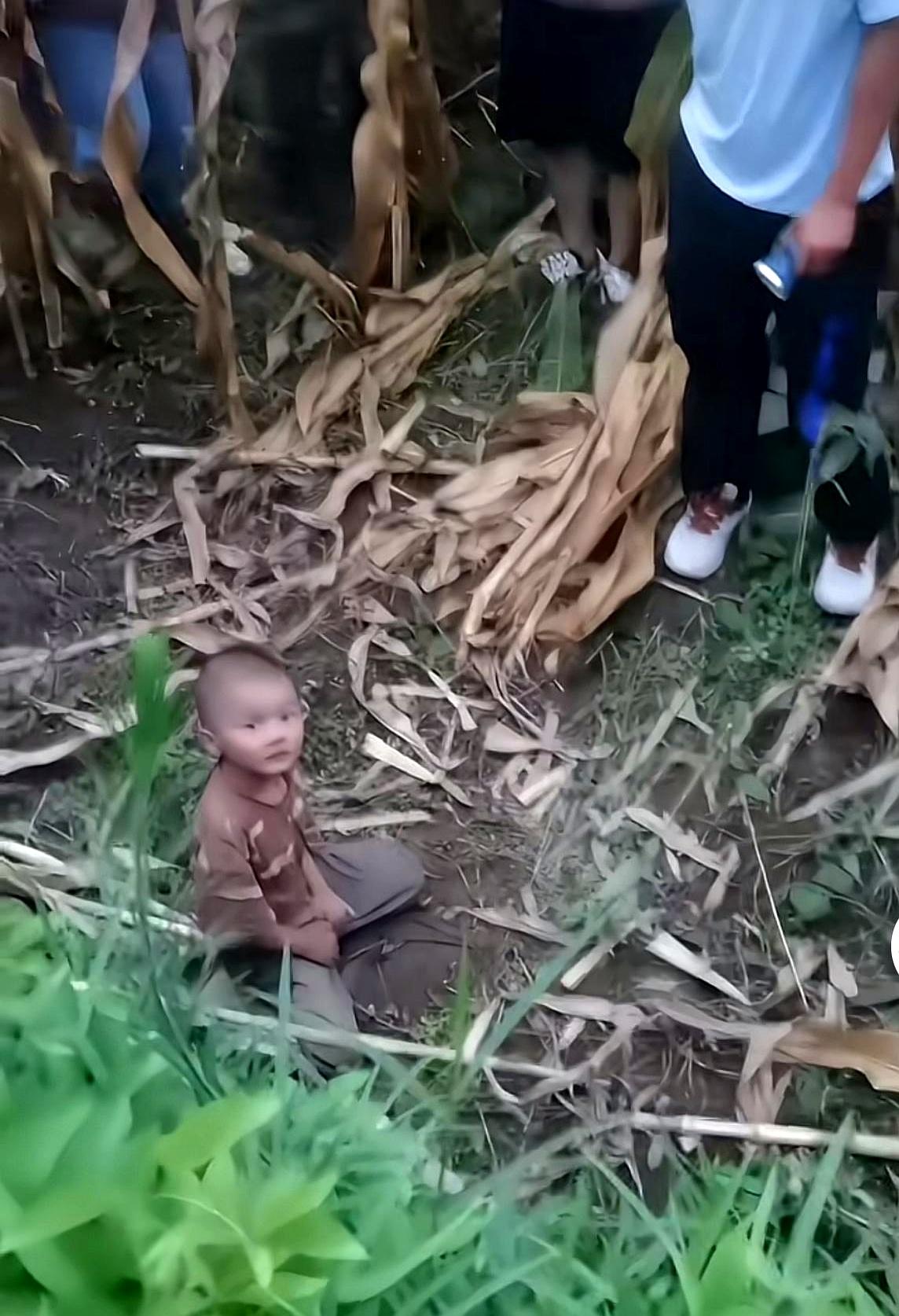 失联快80个小时后，这个有中度自闭症的小孩总算在一片庄稼地里被找回来了。
那一刻