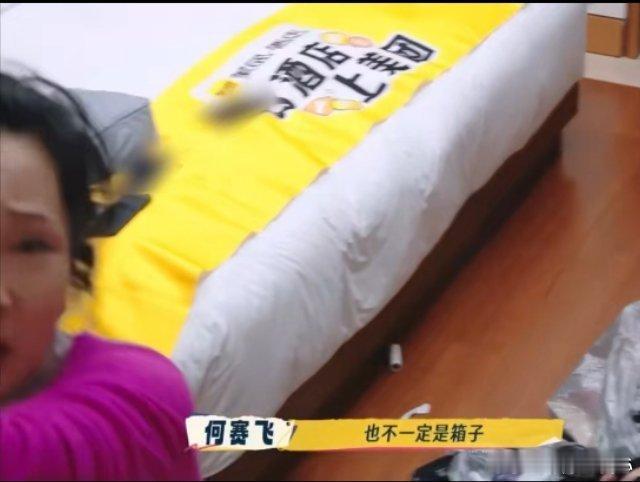 家人们，最近何赛飞因为行李箱被踹坏而爆哭的事情可是在网上引起了不小的波澜。这看似