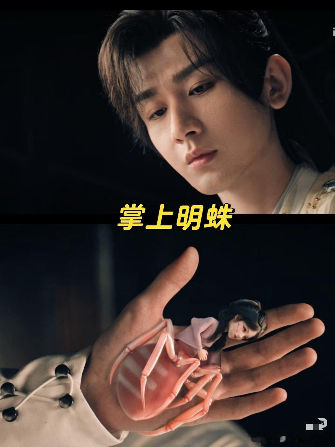 富贵幸亏不是我们江苏人，不然现在这个金秋十月正好是大闸蟹最肥美的时候，小蜘蛛跟大