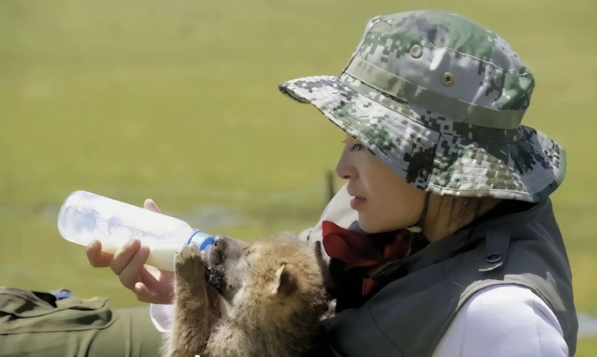 重返狼群大年初三重映，太好了。 影院见，格林。 