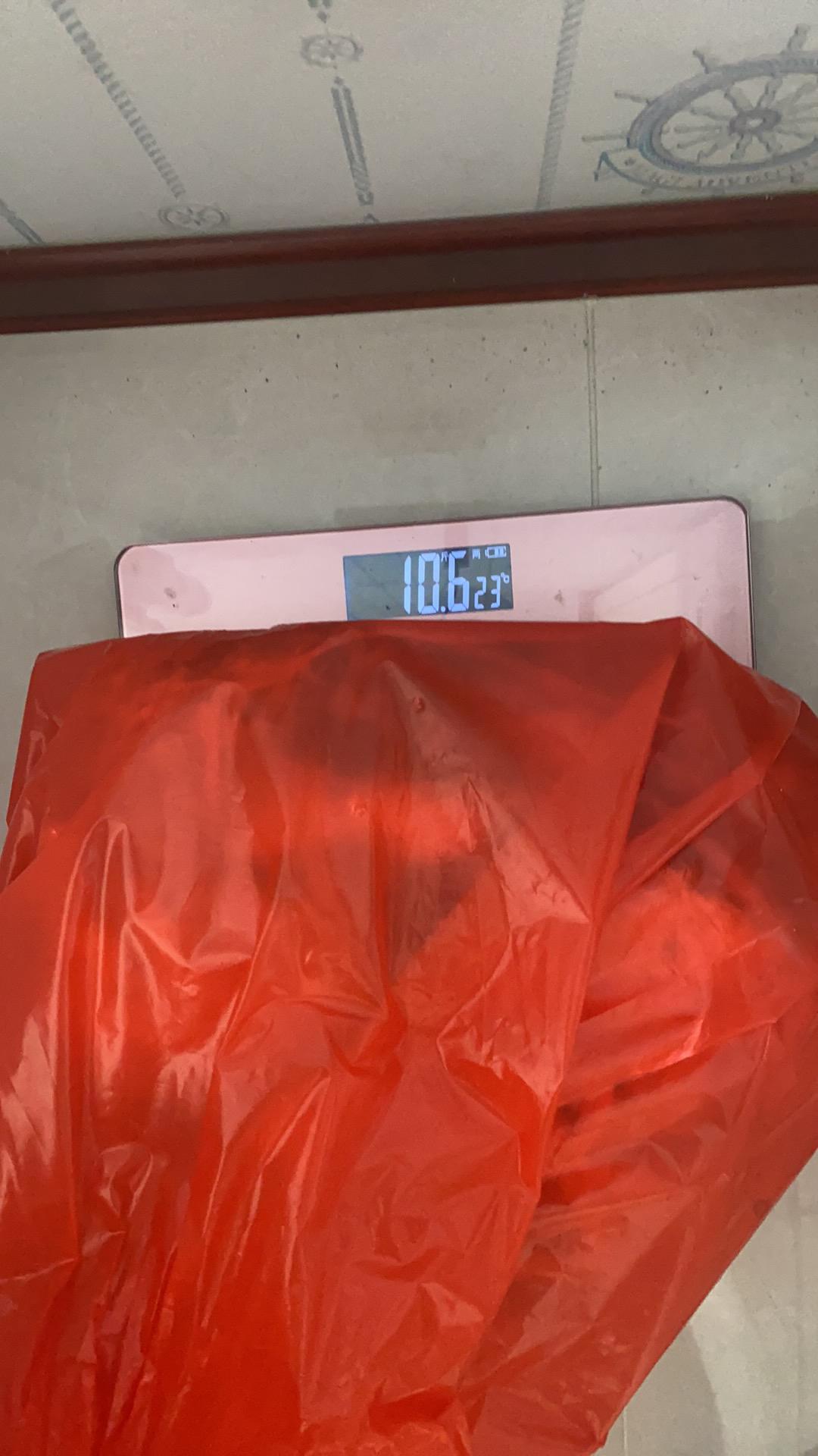 一只羊几个腰子，直接回答，别去搜