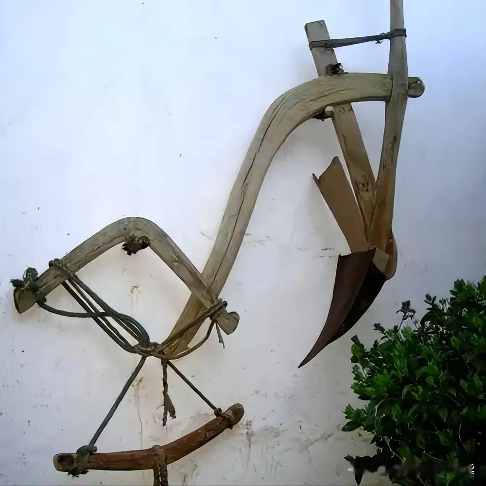 当年我10岁的时候，大冷天的还和水牛在田间地头用这个劳作，你知不知道是什么