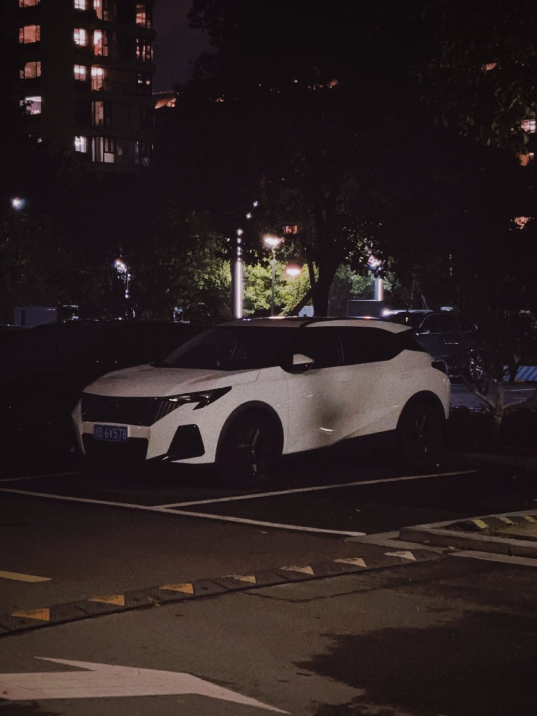 这个造型，挂标致的狮子也很和谐恰当吧！ 