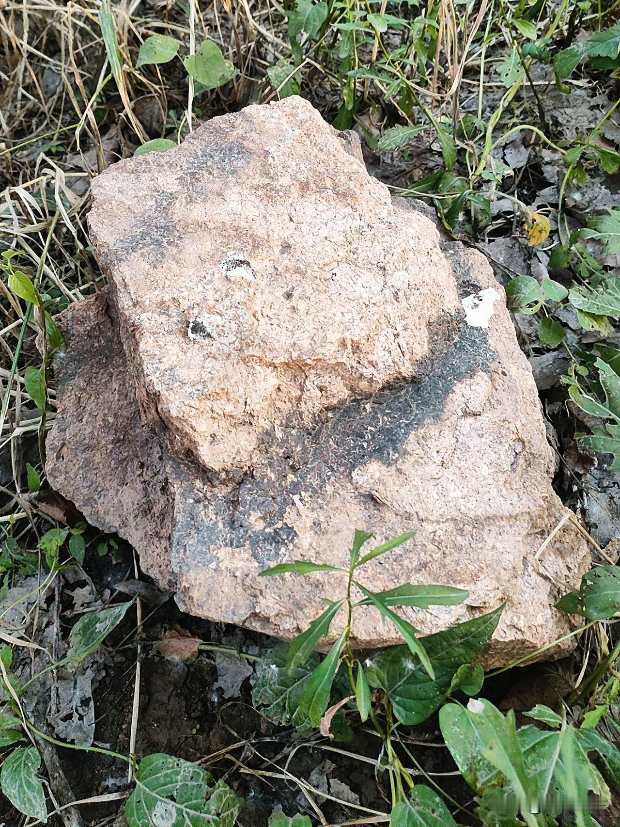 如今安庆陨石收获了本地近半读者的关注，热度持续走高。不知昔日持不同看法的同行，看
