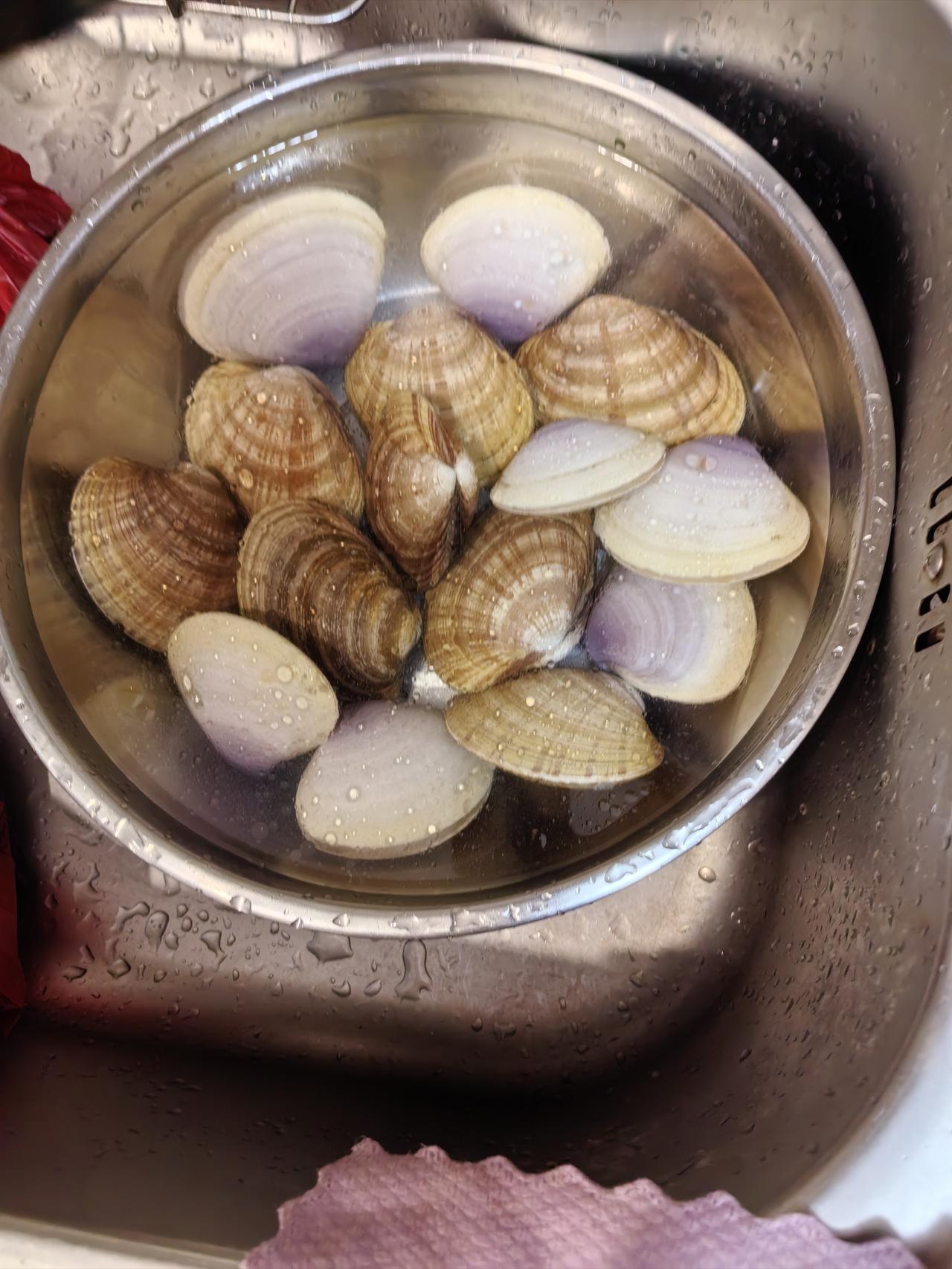 今年冬天的不同贵妃贝比黄金贝好吃。