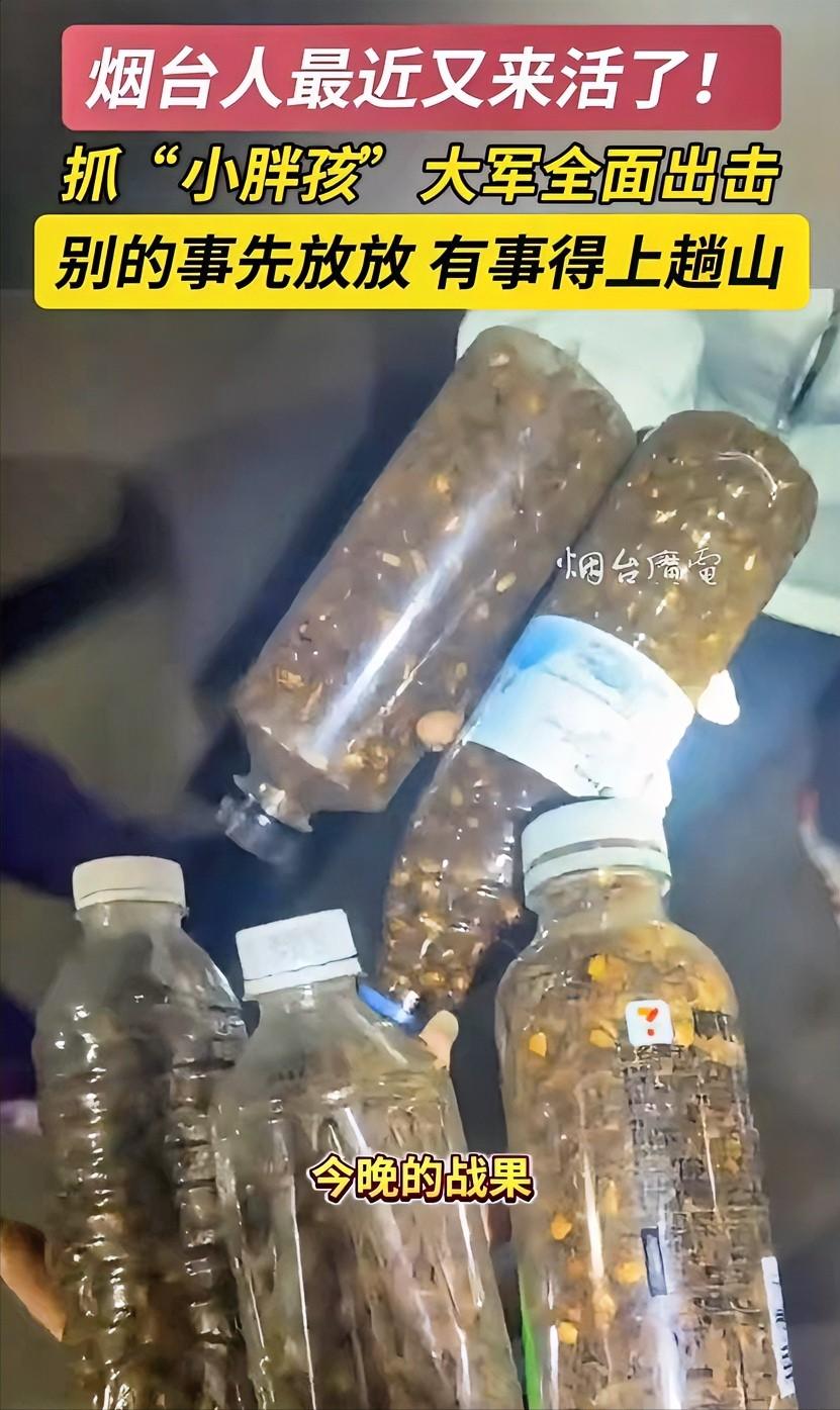 不服不行！山东烟台，不少人把车开到山脚，还带了一堆工具，也不上山，就在那等天黑，