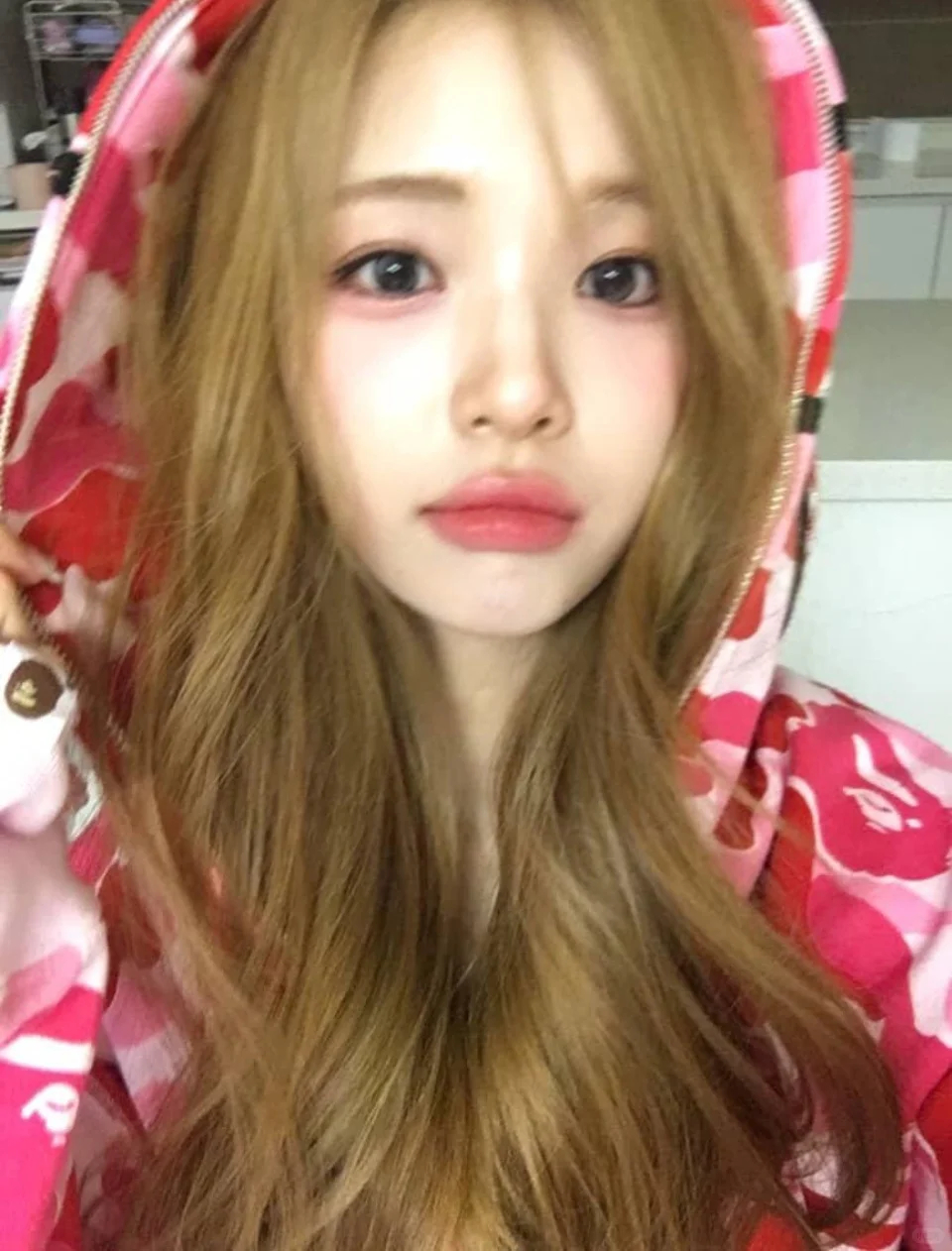 有被柳河岚YuHa今天更新的营业照美到