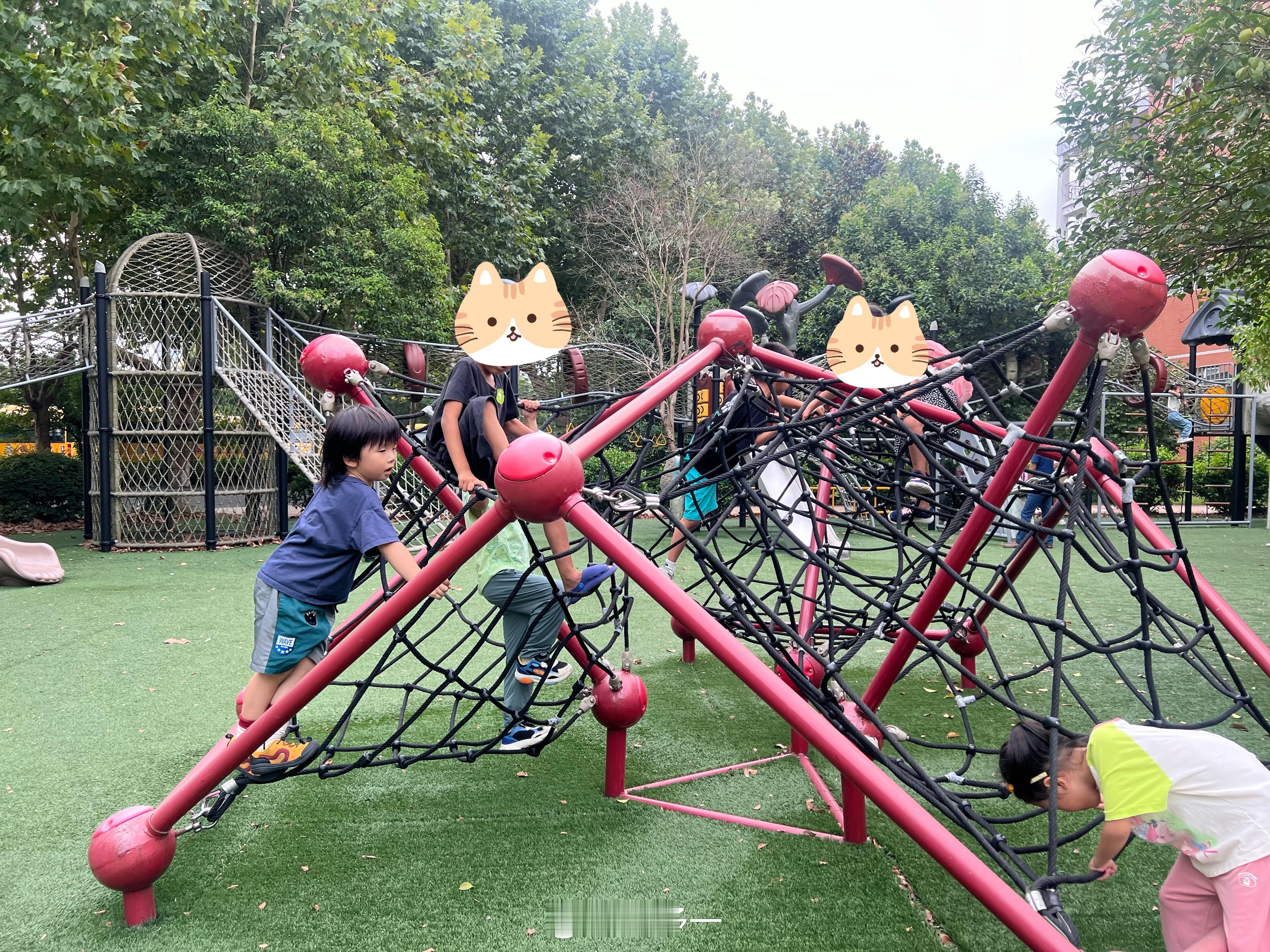 给你们看一下稀饭的校园，从公办幼儿园到私立小学，或许是我太久没上学了，感觉设施还