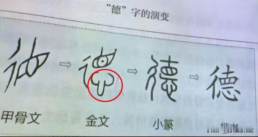 “德”字的象形本意:
多子多福就是德，
无儿无女就是缺德。
功能强大就是大德，