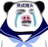 拂琴吹汽车