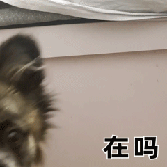 实时号检测 突然不见了，你还好吗？ 