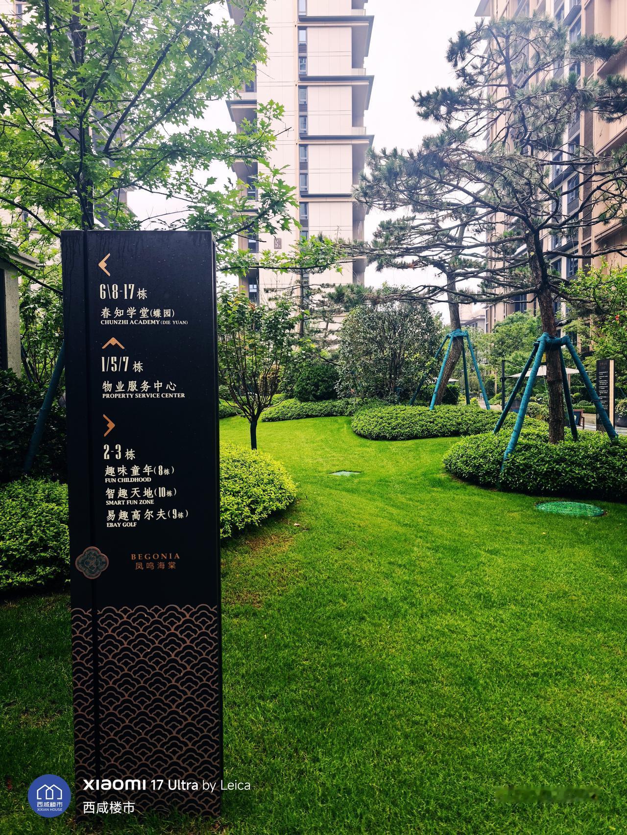 绿城海棠三章，交付的非常不错。这个景观设计，绿树成荫，非常符合现在这个季节的所有