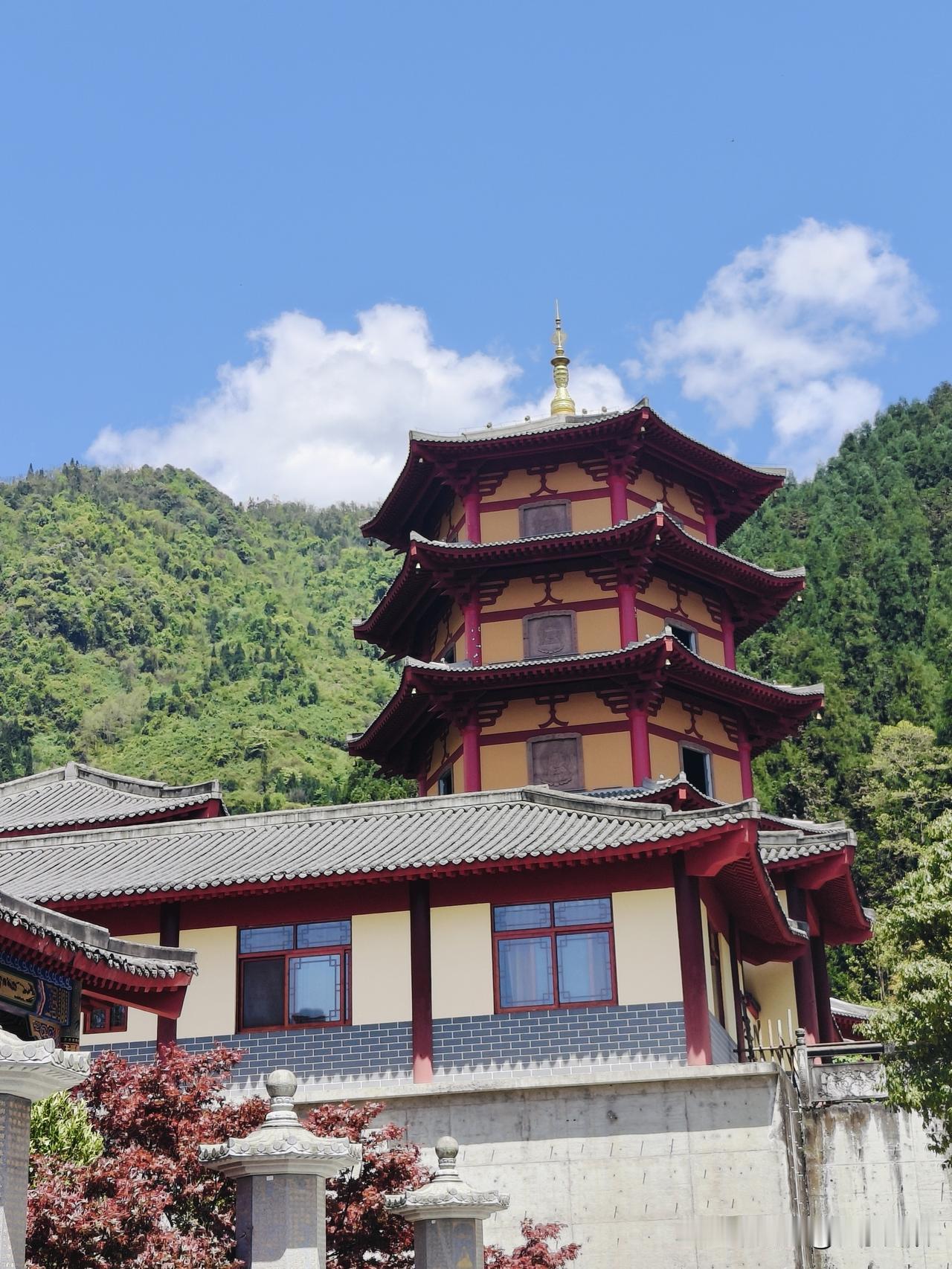 晒图笔记大赛彭州清凉寺以及清凉寺里的猫和牡丹。