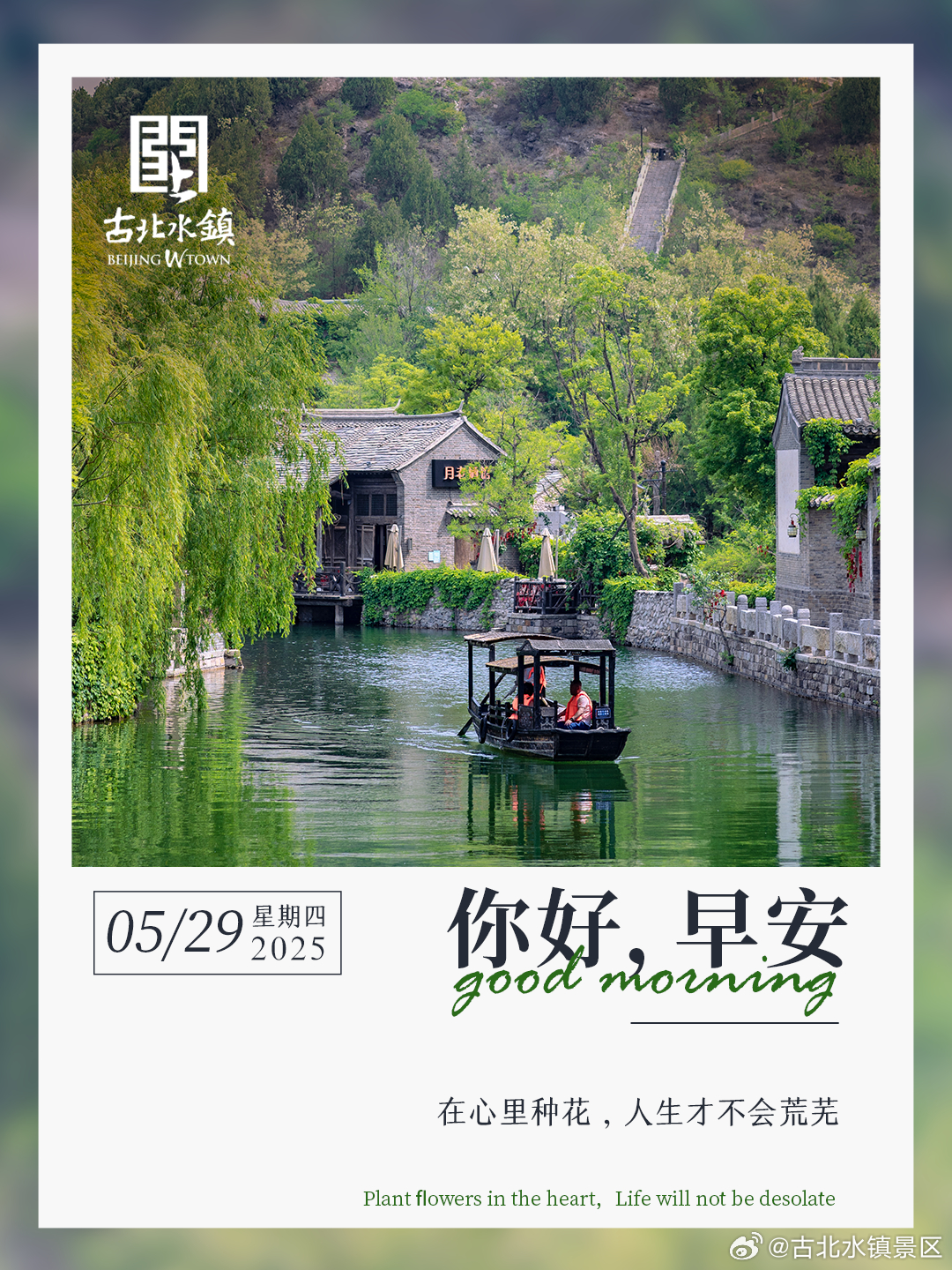 在心里种花，人生才不会荒芜早安，宝子们~ #司马台长城# ​​​