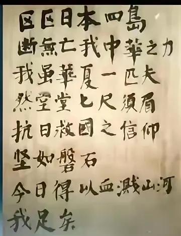 这就是杨靖宇将军的遗言，不愧为我辈之楷模，大家读完后，有没有心潮澎湃呢？

“区