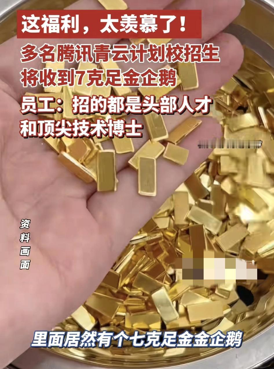 腾讯青云计划在校招生，多名网友表示收到邮件并会收到礼盒，礼盒中包含7克重的足金金