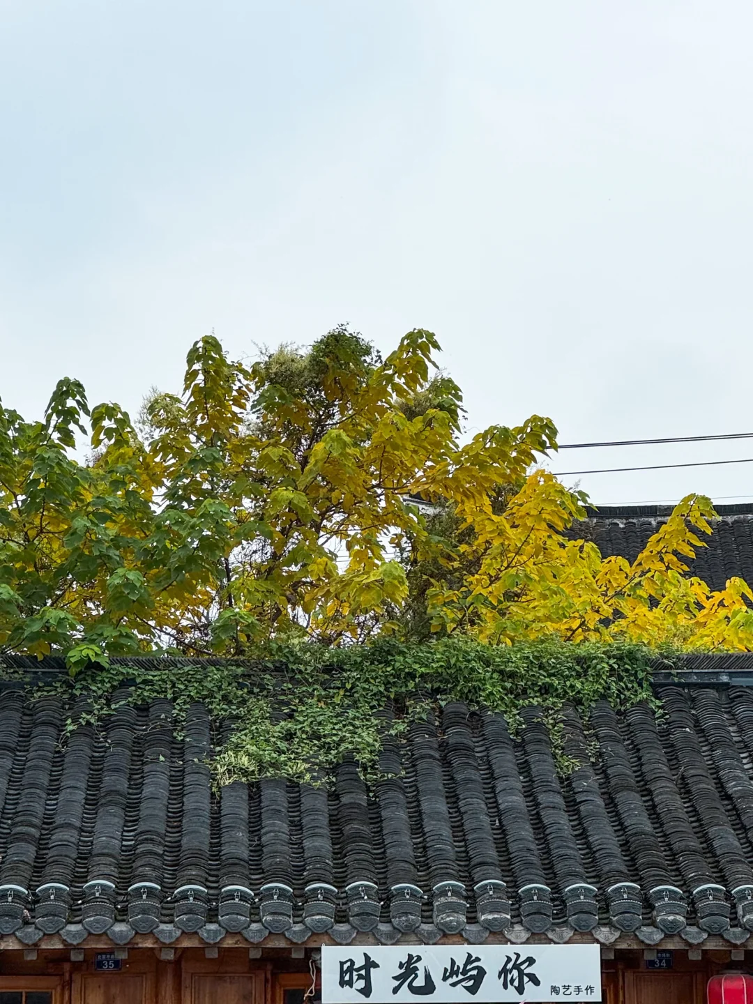 更新周末南通入秋进度