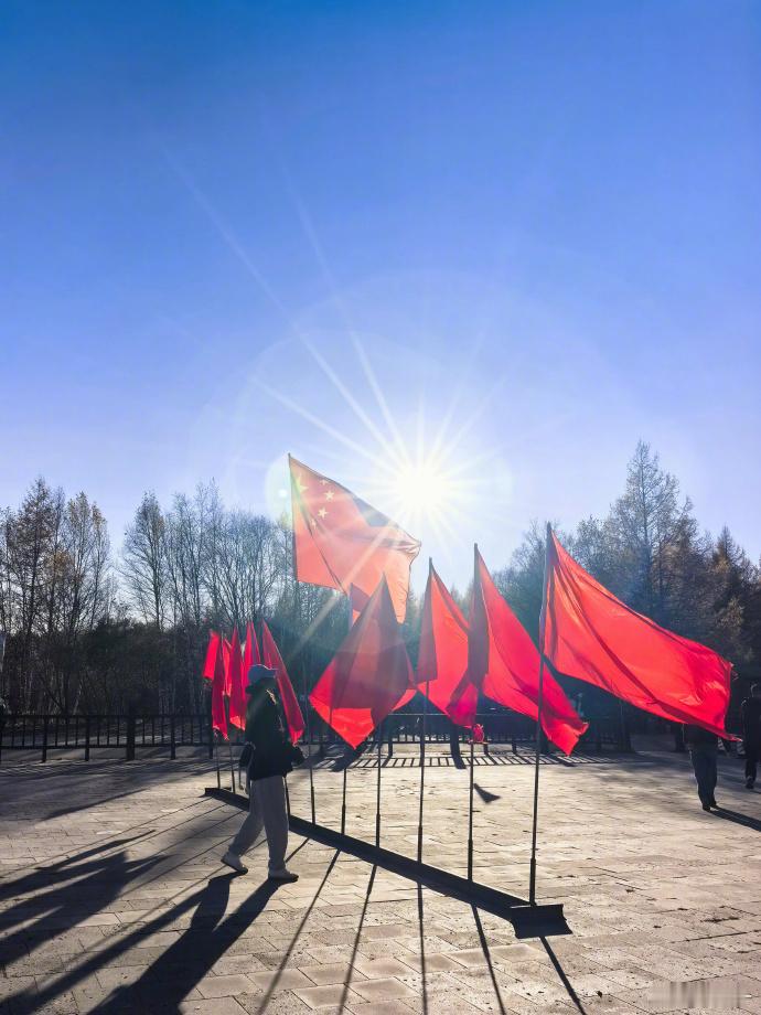 杨幂和国旗同框杨幂与国旗同框照 谁懂啊，看到幂幂和国旗合照那一刻，真的会鼻子一酸